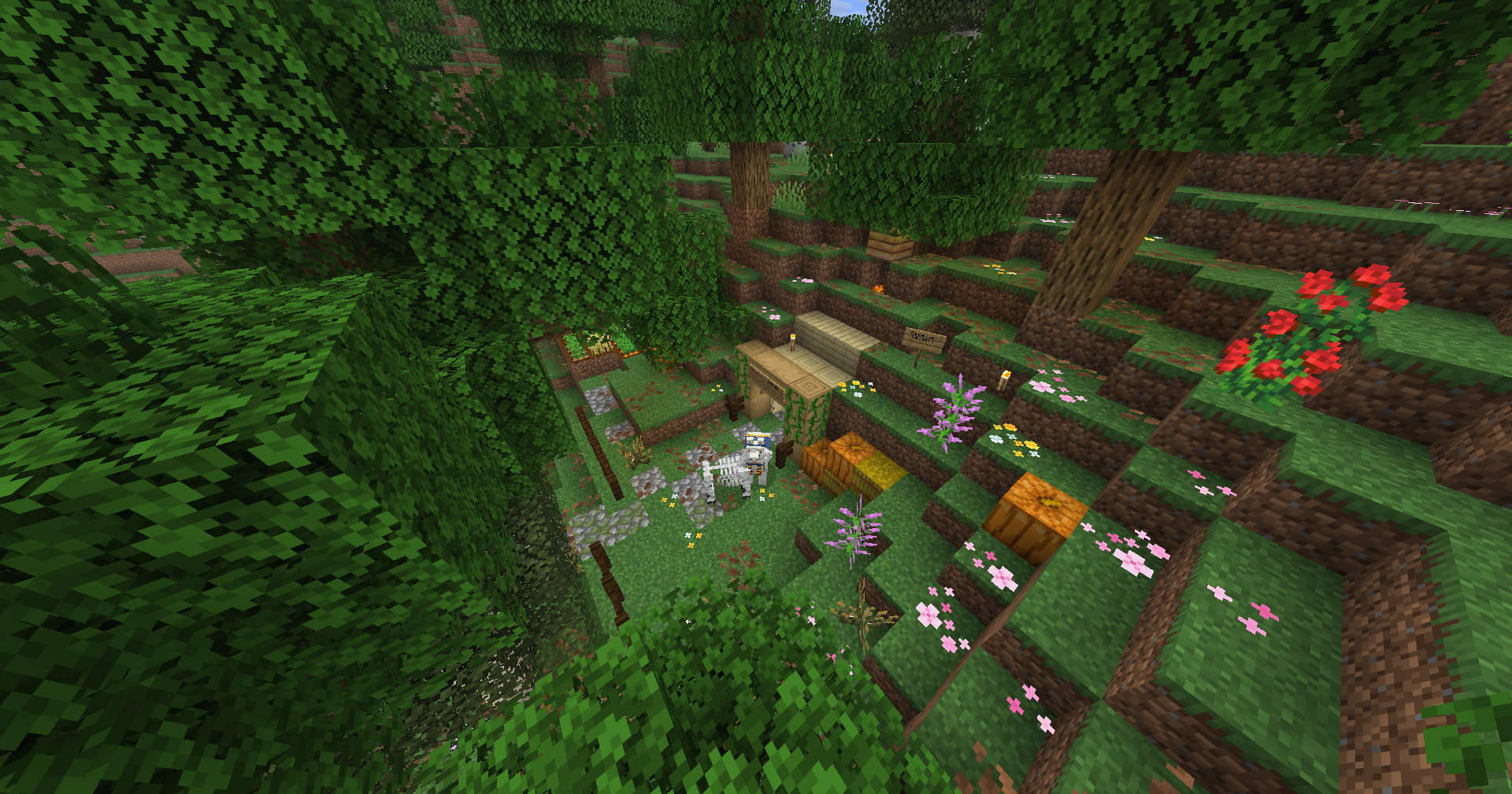 Image of faction viewed from above ground